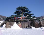 牡丹天气预报15天
