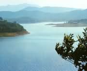 确山天气预报40天