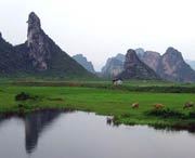 清远后天天气